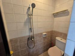 The Sunny Spring (D14), Apartment #480186051